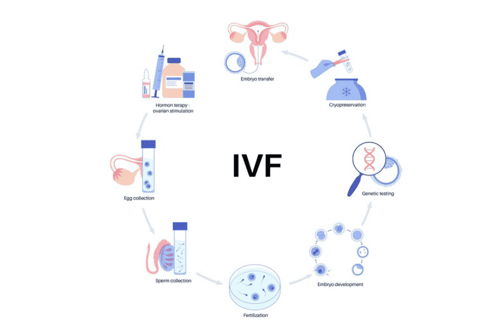 fertility-across-life-stages